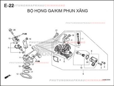 E22 – BỘ HỌNG GA KIM PHUN – HONDA VISION 110 (K44)