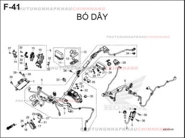 F41 – ĐÂY ĐIỆN SƯỜN – HONDA AIR BLADE 125-160 (K3A-K2Z)