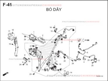 F41 – DÂY ĐIỆN SƯỜN  – HONDA VISION 110 (K2C)