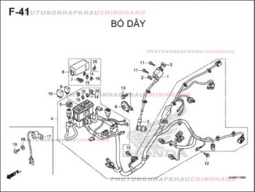 F41 – DÂY ĐIỆN SƯỜN – HONDA VISION 110 (K44)