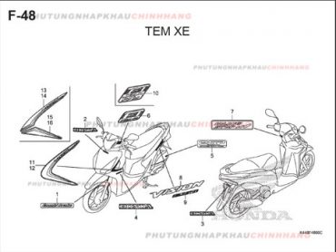 F48 – TEM XE – HONDA VISION 110 (K44)