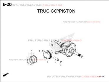 E20 – TRỤC DÊN – HONDA LEAD 125 4VAL 2025 (K2TS)