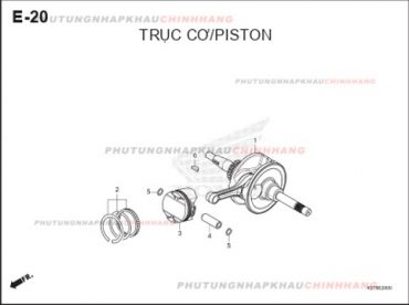 E20 – TRỤC DÊN – HONDA LEAD 125 4VAL (K2T)